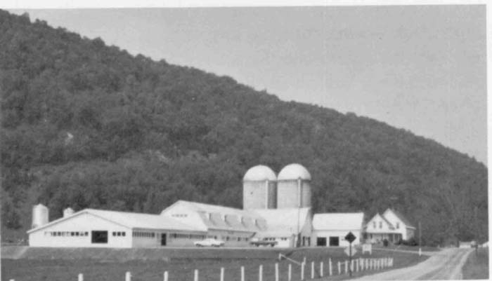 The Martin Farms.jpg